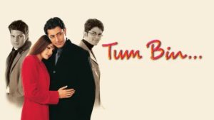 Tum Bin Jiya Jaaye Lyrics - Chitra